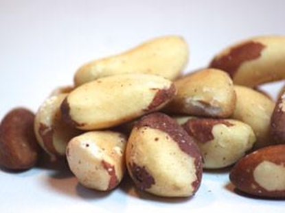 Picture of BRAZIL NUTS